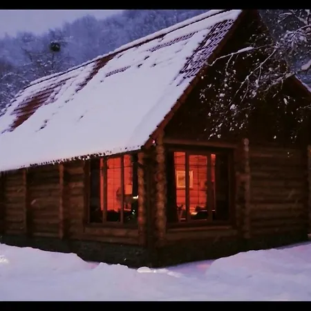 берлога Родниковка